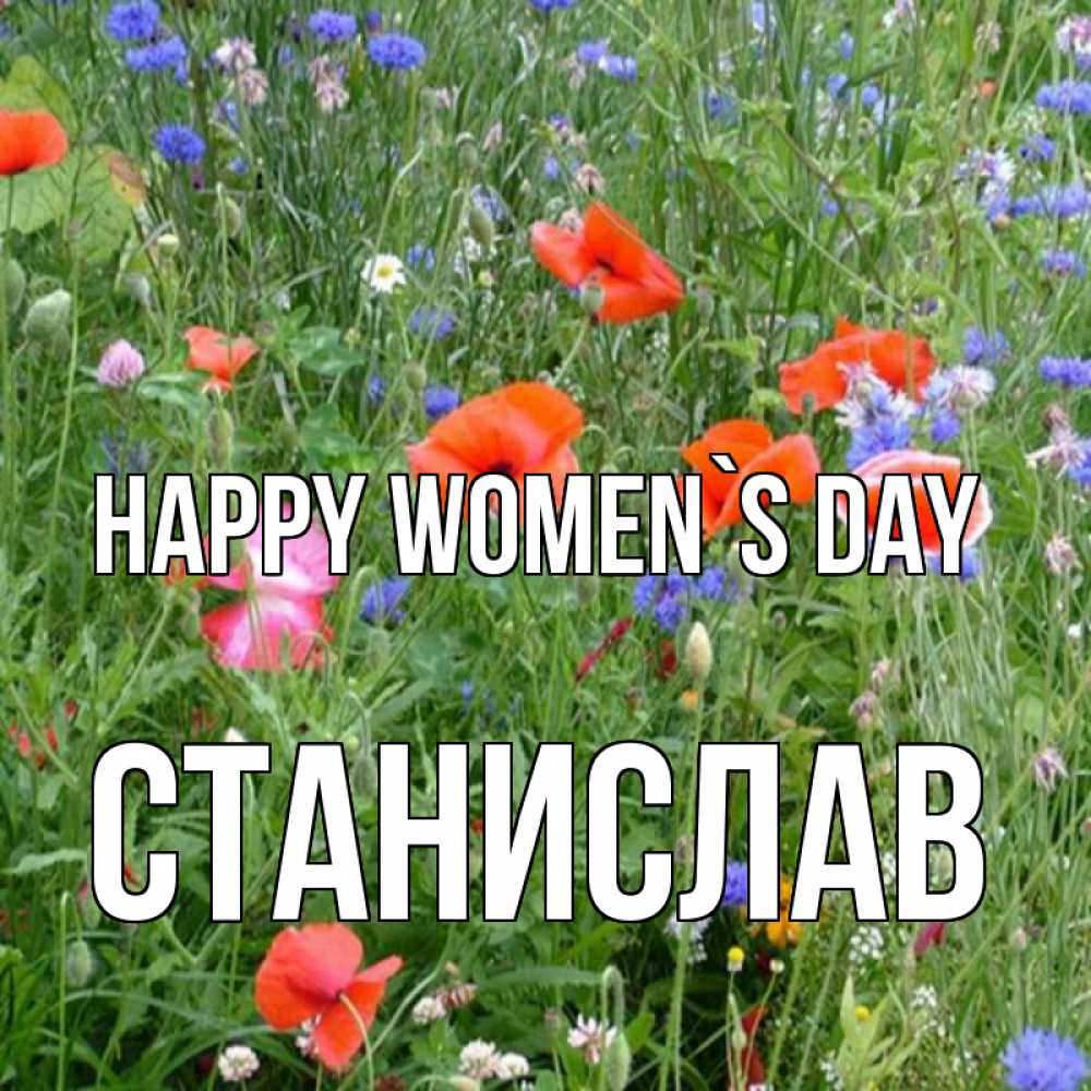 Greetings card с именем, Станислав happy women`s day международный женский день 4 Greetings with text for free download 